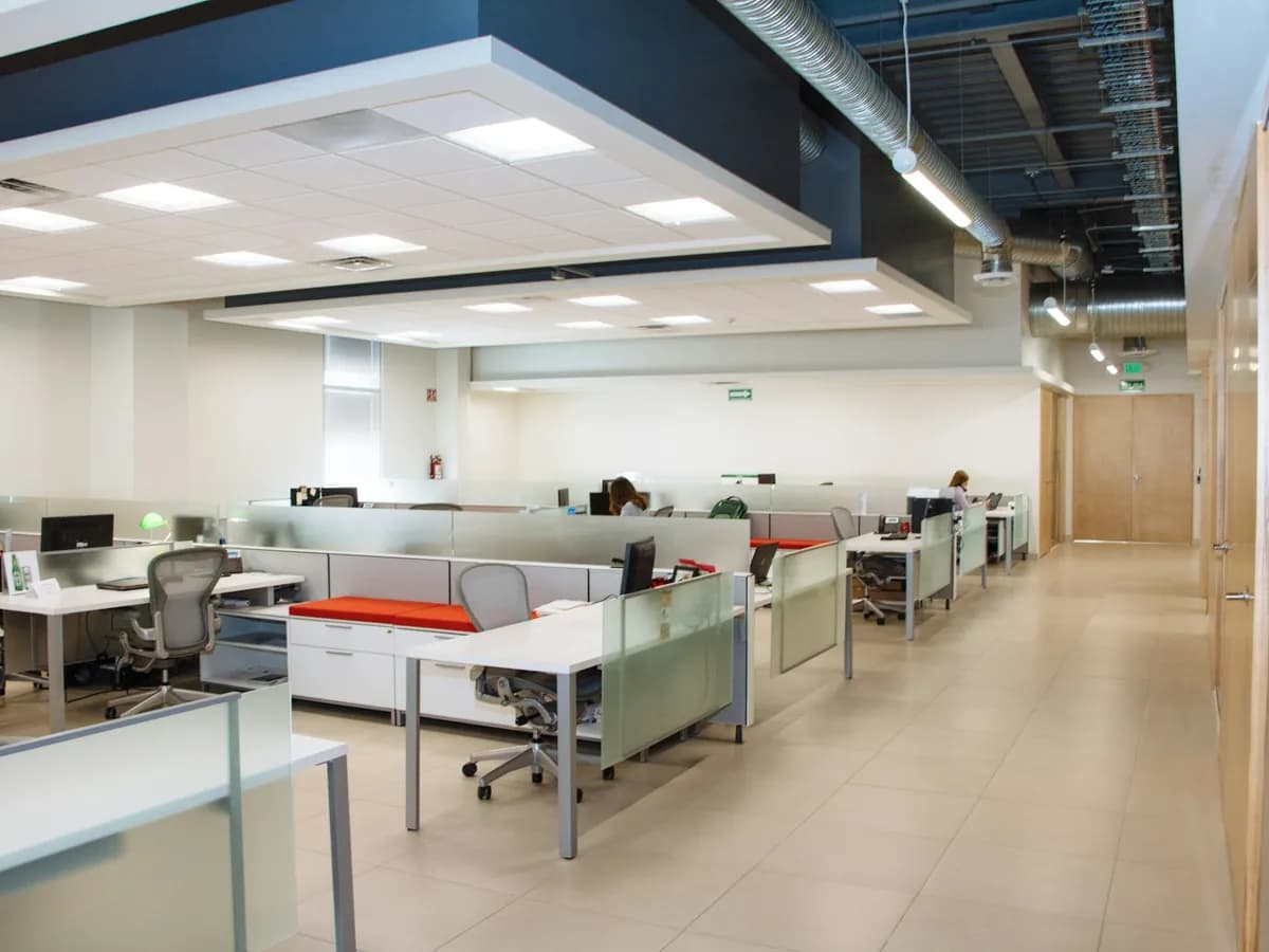 Bright open-plan office with rows of desks